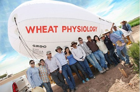 Members of the wheat physiology group pose with a blimp used for aerial remote sensing.