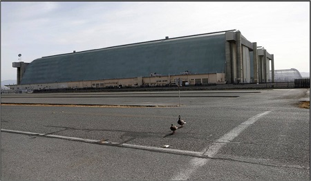 Ducks walk in front of, from left to right, Hangar Three, Hangar Two and Hangar One looking west at Moffett Field in Mountain View, Calif., on Monday, March 30, 2015. Just a few weeks before Google's planned takeover of the Moffett Federal Airfield, the old redwood beams that brace one of the field's historic airship hangars began falling to the ground. The disrepair is one example of the hassles Google is about to take responsibility for when it begins managing the airfield on April 1 and refurbishes its three hangars to be used as laboratories for its high-tech research.  Photo: Nhat V. Meyer/Bay Area News Group. 
